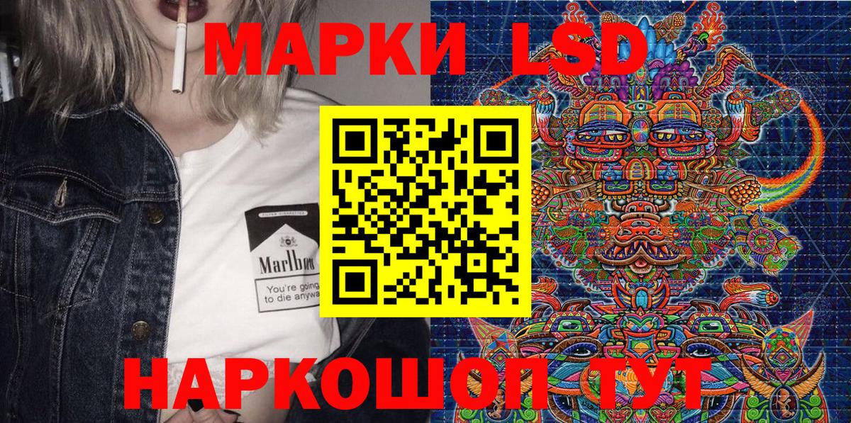 купить наркотики сайты  Наркотические марки  Карачаевск  Вход с VPN  Марки N-bome 1500мкг 