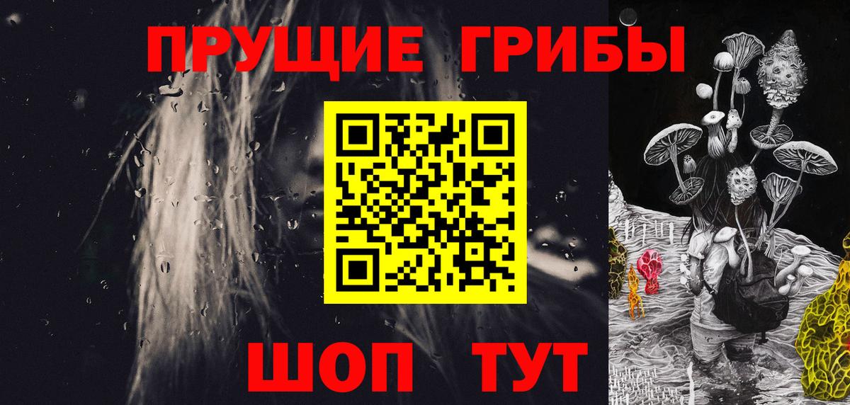 Галлюциногенные грибы Psilocybe  где купить   Галлюциногенные грибы MAGIC MUSHROOMS  Карачаевск  Вход с VPN 